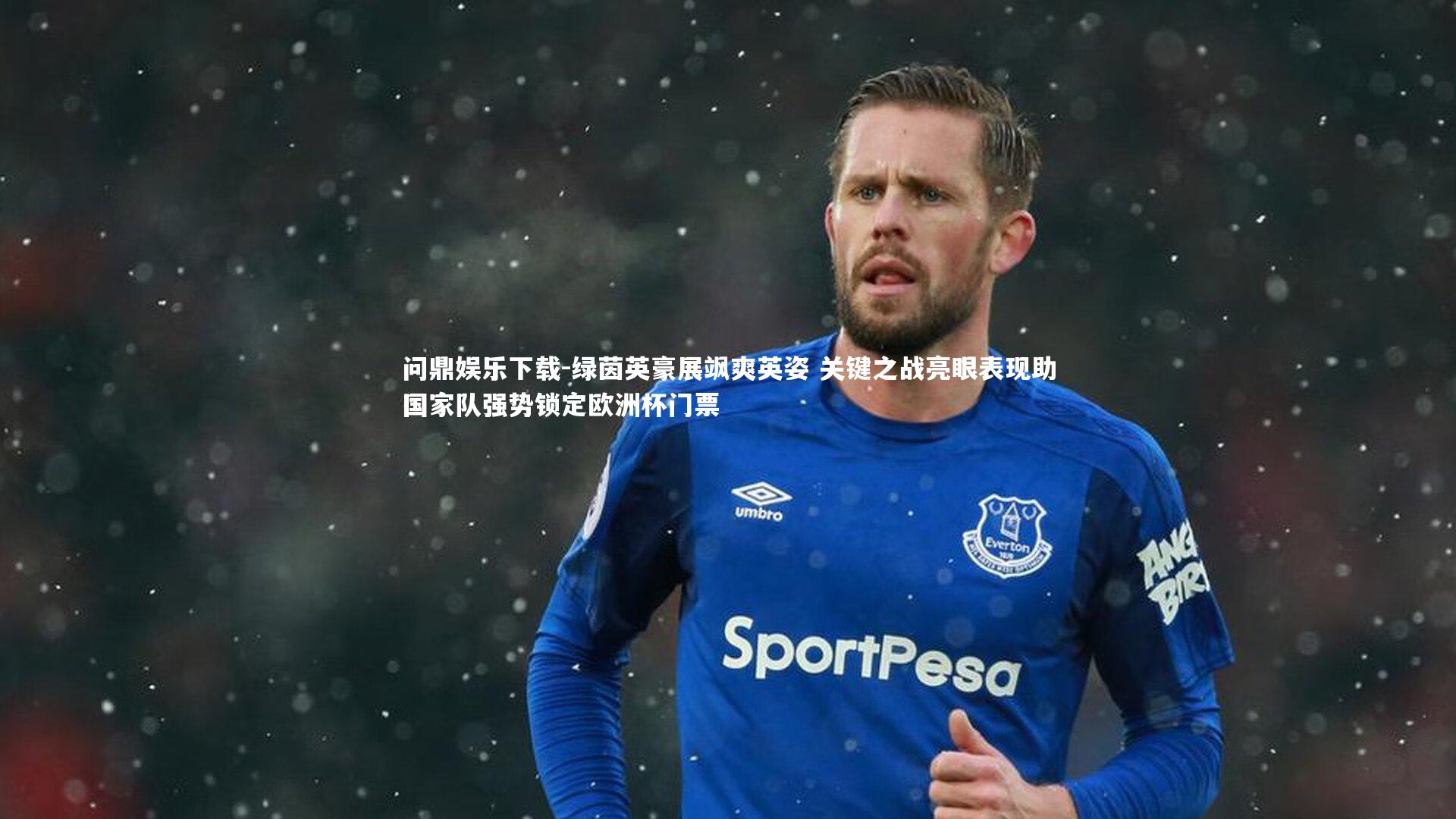 绿茵英豪展飒爽英姿 关键之战亮眼表现助国家队强势锁定欧洲杯门票